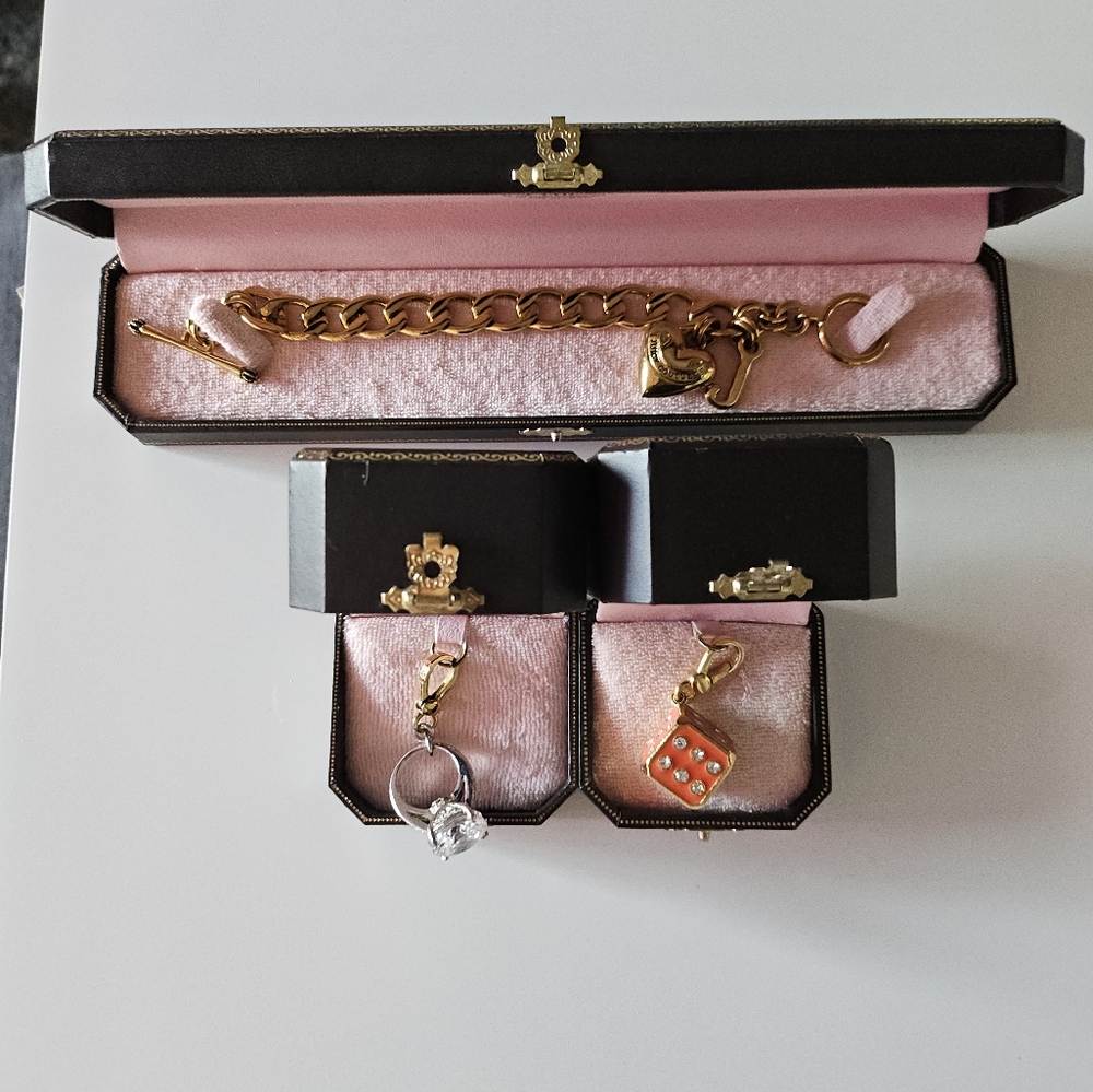 Gold Charm Bracelet and Charm Set